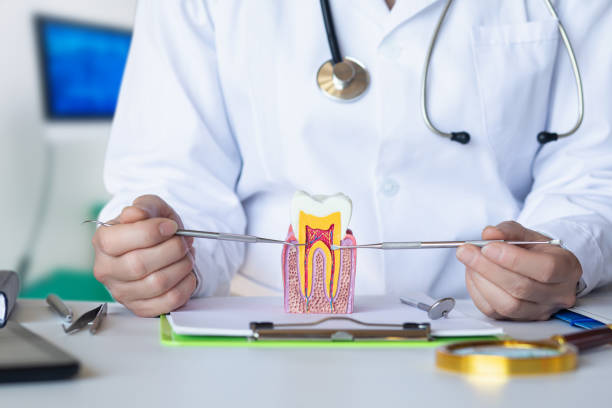 Best Broken or Cracked Tooth Emergency Dentist in Mentor, OH